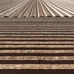 A close-up of freshly plowed farmland with perfectly parallel ridges and furrows, creating a striped pattern that resembles a stack of Kit Kat chocolate bars.