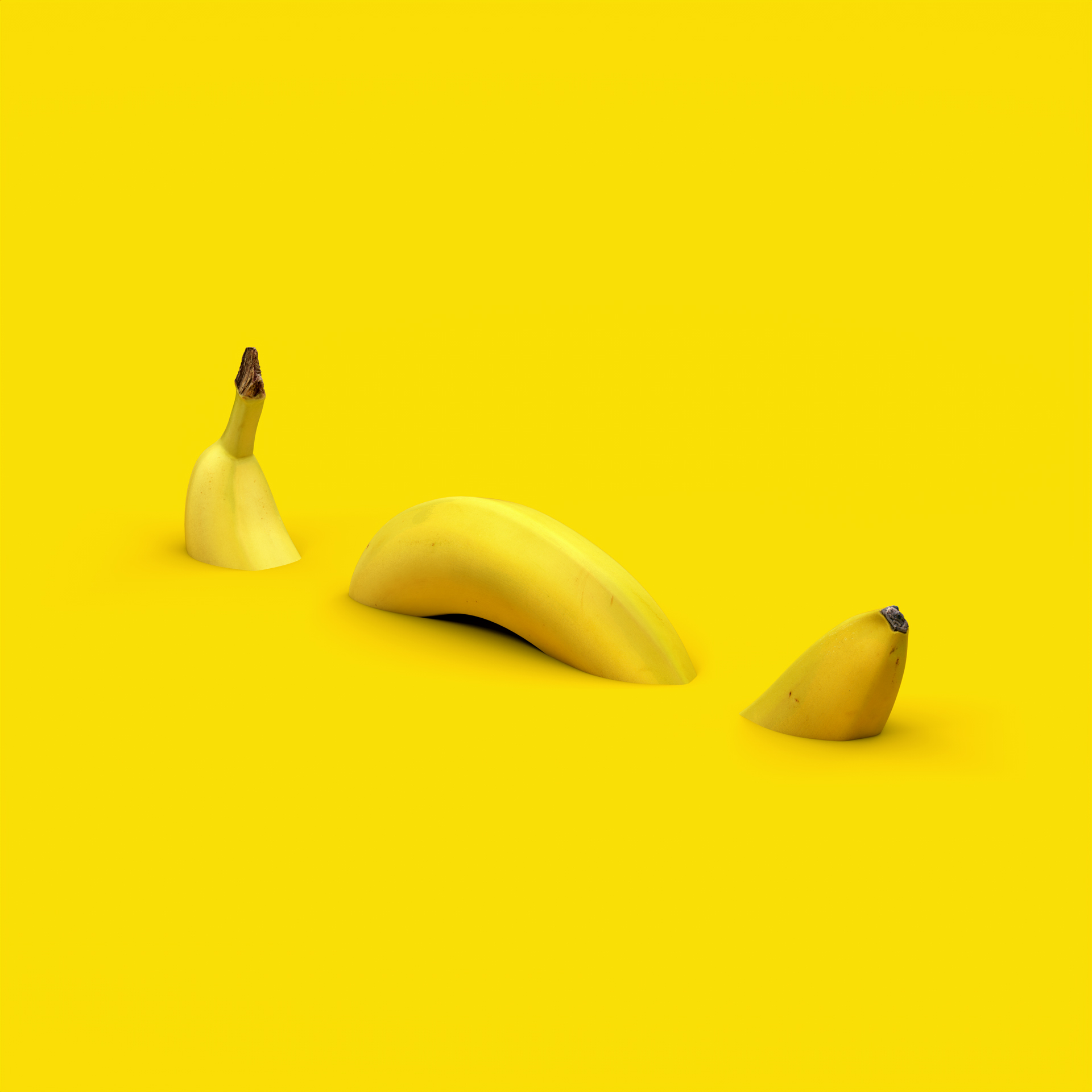 Bananaconda by Christophe Vogels in Brussels, Belgium