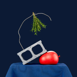 Rosemary by Christophe Vogels, a freelance creative and visual artist based in Brussels (Belgium)